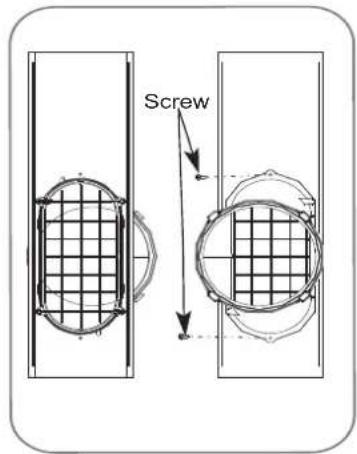 Screw