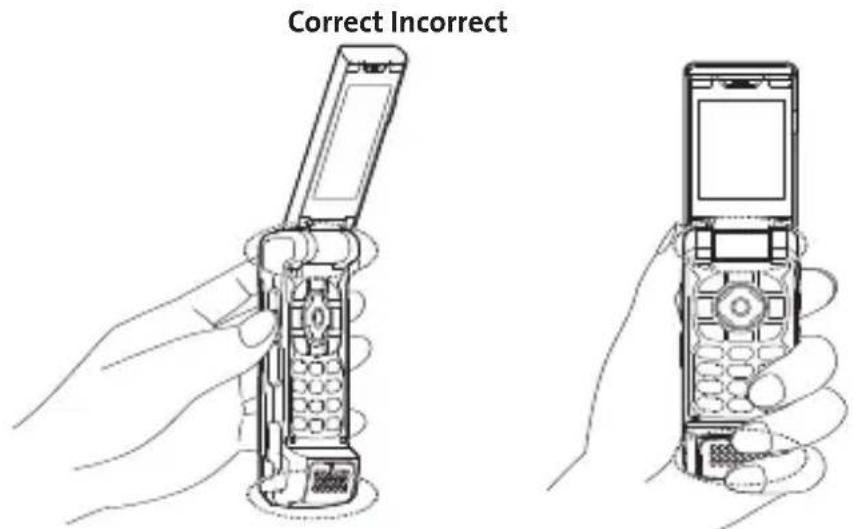 Correct Incorrect
