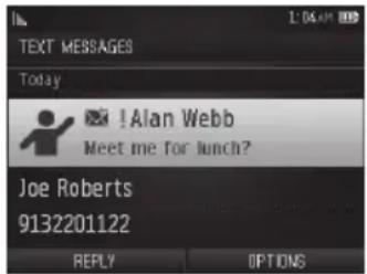 TEXT MESSAGES Today ! Alan Webb Meet me for lunch? Joe Roberts 9132201122 REPLY OPTIONS
