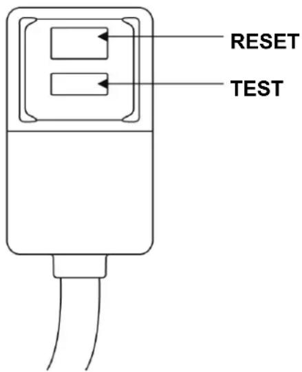 RESET TEST