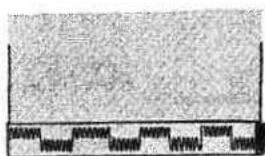 Scanned document with faint, low-resolution text and a scale bar at the bottom
