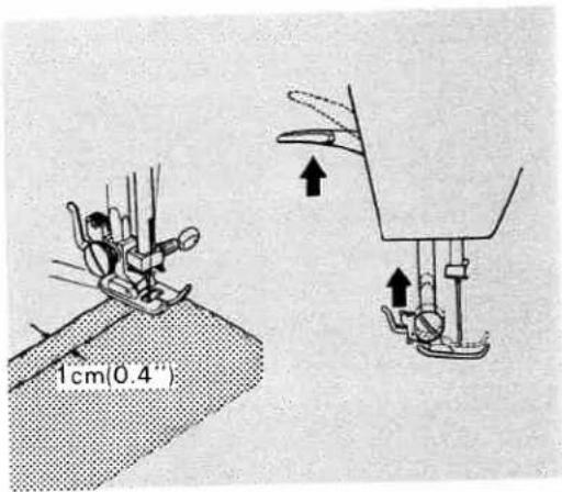 1cm(0.4')