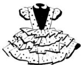 White W1065 - RUFFLER - 3