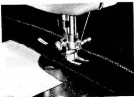 White W1065 - BUTTON HOLES - 3