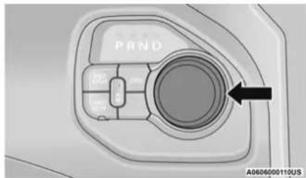 PIND A0606000110US