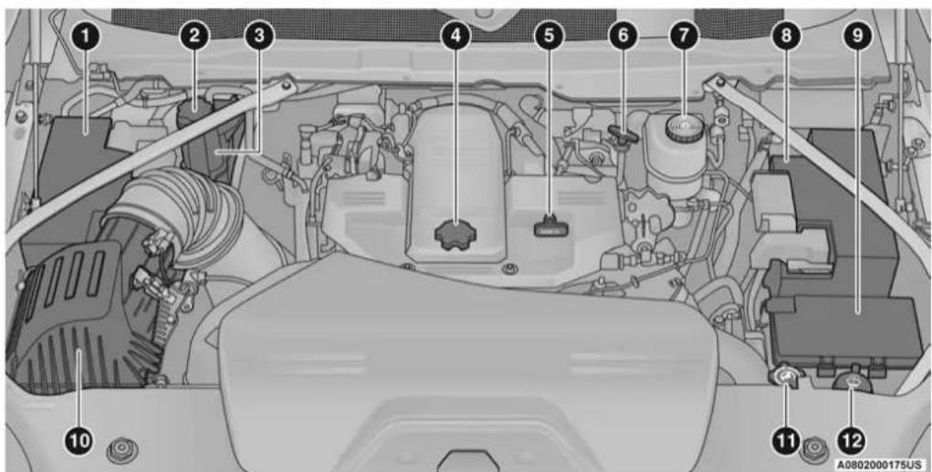 Labeled diagram of a car engine bay with numbered components for identification