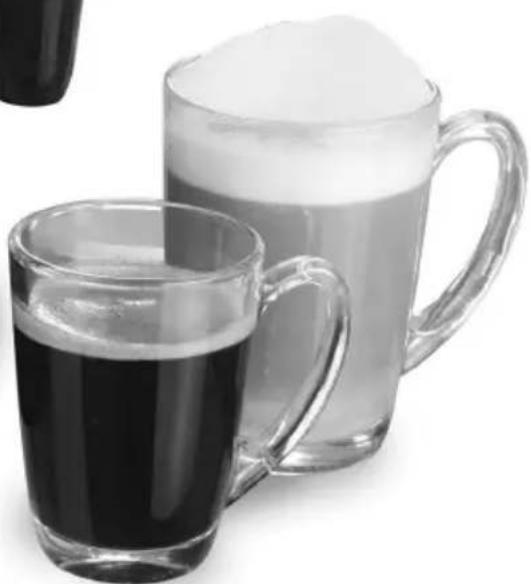 Capresso Steam PRO 304 - 2