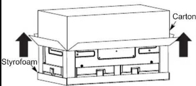 Styrofoam Carton