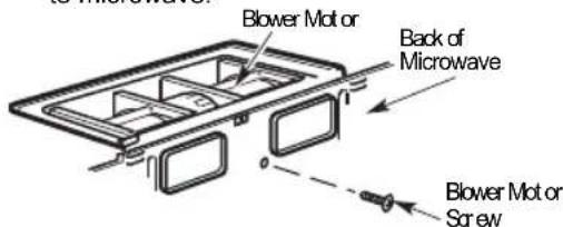 Blower Motor Back of Microwave Blower Motor or Screw