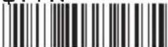 Wasp WRS100SBR - FULL ASCII TABLE ( CODE 39 ) MODIFIER KEYS - 14