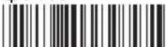 Wasp WRS100SBR - FULL ASCII TABLE ( CODE 39 ) MODIFIER KEYS - 15