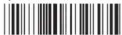 Wasp WRS100SBR - FULL ASCII TABLE ( CODE 39 ) MODIFIER KEYS - 1