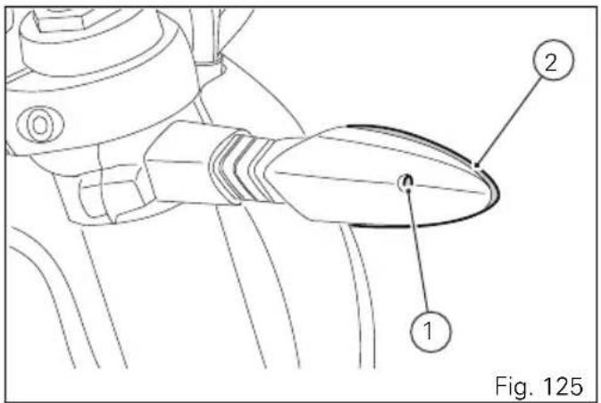 Fig. 125