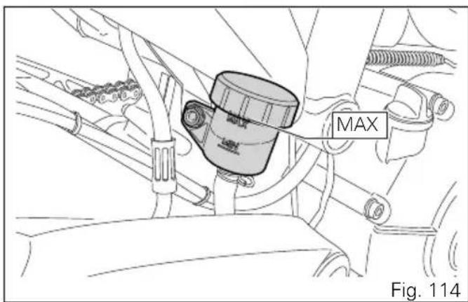 MAX Fig. 114