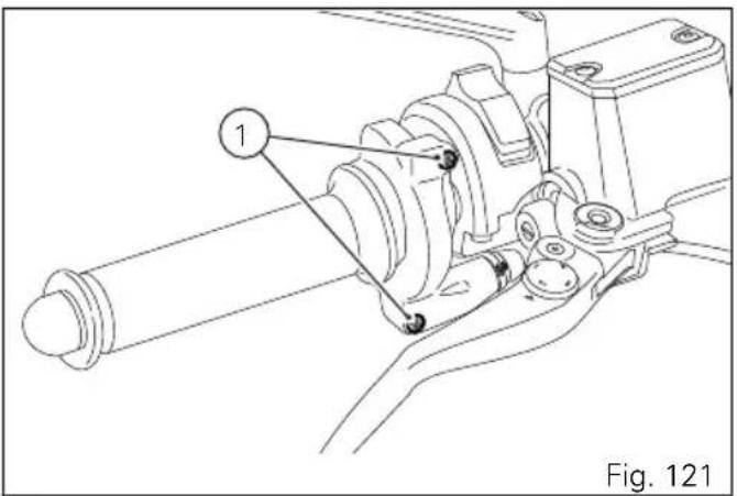 1 Fig. 121