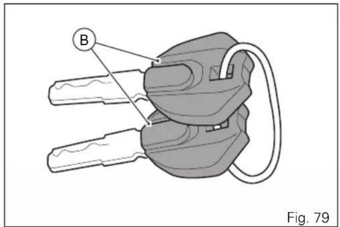 B Fig. 79