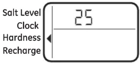 Salt Level Clock Hardness Recharge 25