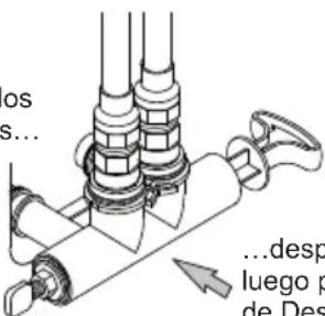 os s... ...desp luego p de Des