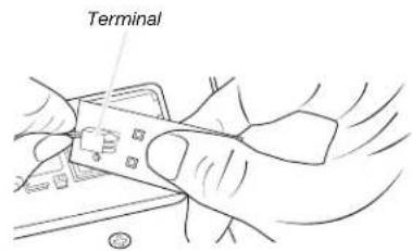 Terminal