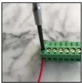 Juke Audio 6 - Wiring - 10