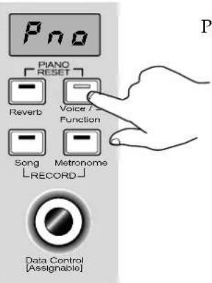 Pno PIANO RESET Reverb Voice / Function Song Metronome RECORD Data Control [Assignable]