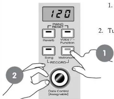 120 PIANO RESET Reverb Voice / Function Song Metronom RECORD 1 2 Data Control [Assignable]