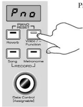 Pno PIANO RESET Reverb Voice / - Function Song Metronome LRECORD Data Control [Assignable]