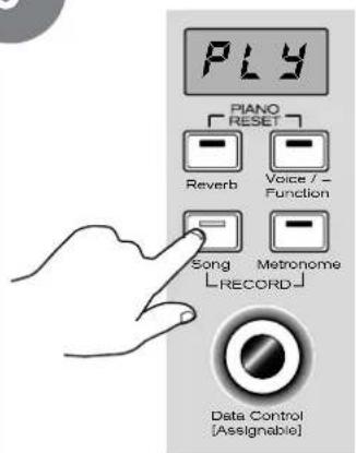 PLY PIANO RESET Reverb Voice / Function Song Metronome RECORD Data Control [Assignable]