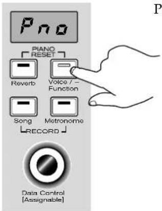 Pno PIANO RESET Reverb Voice / - Function Song Metronome RECORD Data Control [Assignable]