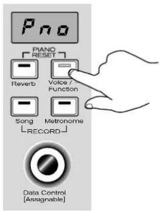 PNO PIANO RESET Reverb Voice / Function Song Metronome RECORD Data Control [Assignable]
