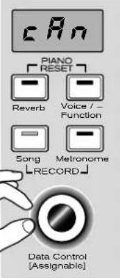 cA_n PIANO RESET Reverb Voice / - Function Song Metronome RECORD Data Control [Assignable]