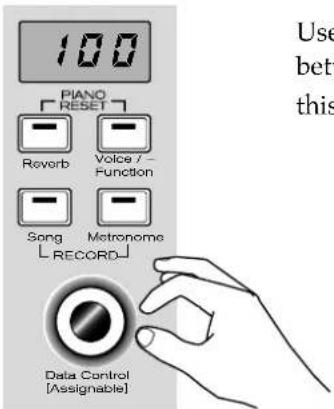 100 PIANO RESET Reverb Voice 7- Function Song Metronome RECORD Data Control [Assignable] Use bet this