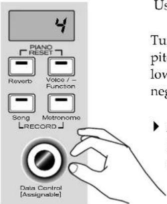 Piano RESET Reverb Voice / - Function Song Metronome RECORD Data Control [Assignable]