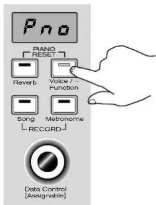 Pno PIANO RESET Reverb Voice / Function Song Metronome RECORD Data Control [Assignable]