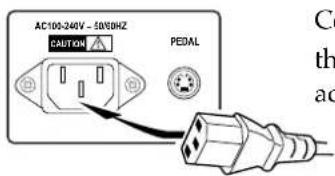 AC100-240V - 50/68HZ CAUTION PEDAL C th ac