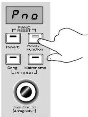 Pno PIANO RESET Reverb Voice / Function Song Metronome RECORD Data Control [Assignable]