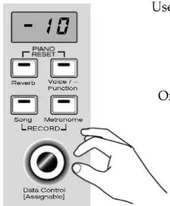 - 10 PIANO RESET Reverb Voice / Function Song Metronome RECORD Data Control [Assignable]