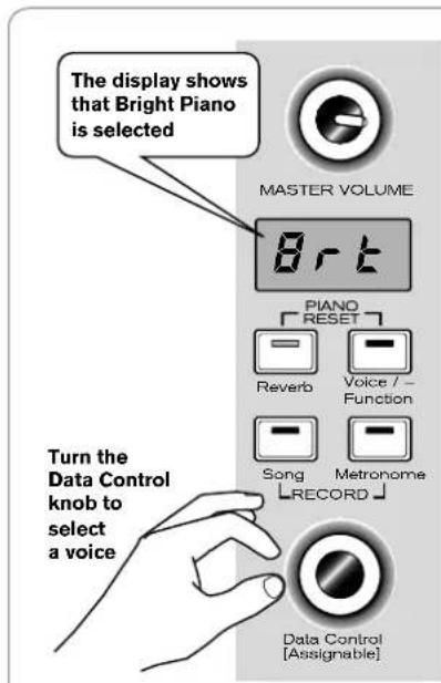 The display shows that Bright Piano is selected MASTER VOLUME 8-rt PIANO [RESET] Reverb Voice / - Function Song Metronome RECORD Turn the Data Control knob to select a voice Data Control [Assignable]