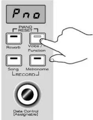 Pno PIANO RESET Reverb Voice / Function Song Metronome RECORD Data Control [Assignable]