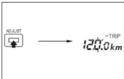 ADJUST → 120.0 km -TRIP