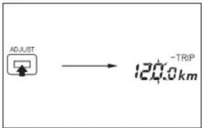 ADJUST → -TRIP 120.0 km