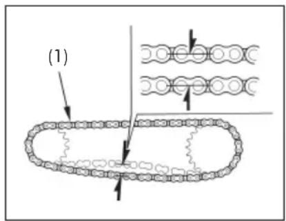 (1)