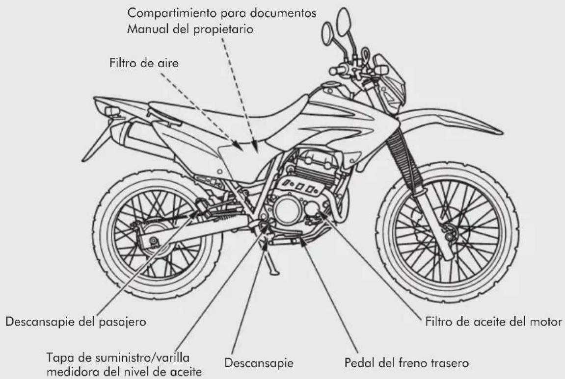 Compartimiento para documentos Manual del propietario Filtro de aire Descansapie del pasajero Tapa de suministro/varilla medidora del nivel de aceite Descansapie Pedal del freno trasero Filtro de aceite del motor