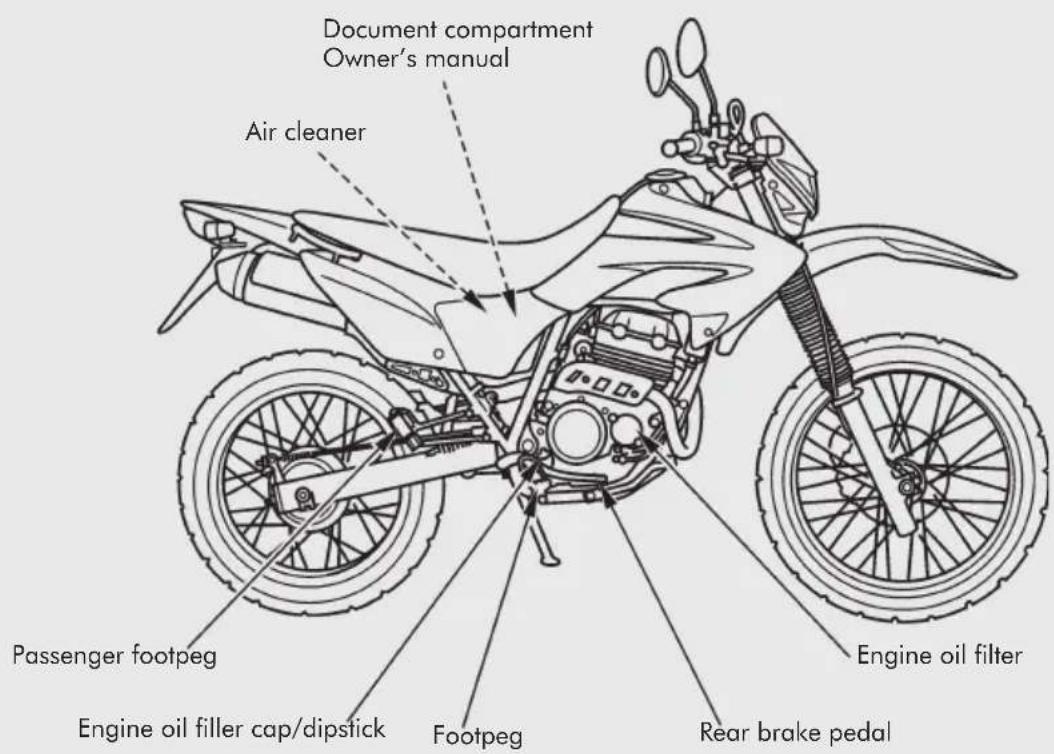 Document compartment Owner's manual Air cleaner Passenger footpeg Engine oil filler cap/dipstick Footpeg Engine oil filter Rear brake pedal