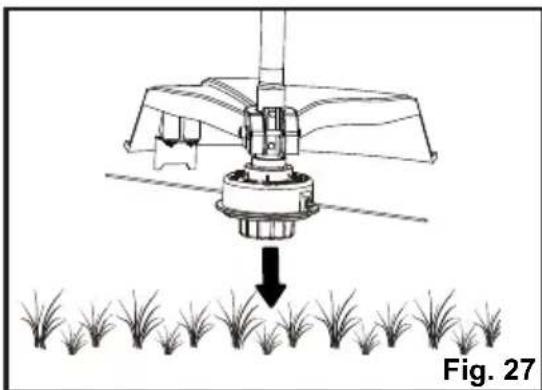 LawnMaster NPTGCP2517B - ADVANCING LINE (See Fig. 27) - 1