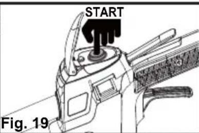START Fig. 19