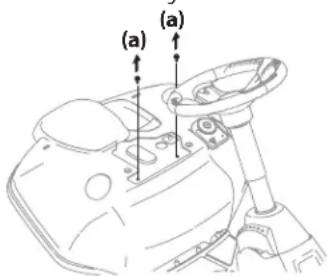 (a) (a)