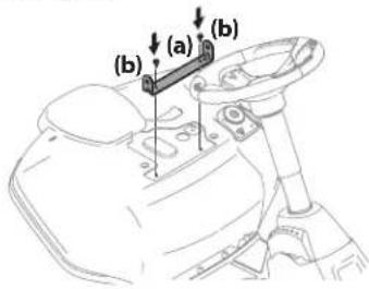 (a) (b)