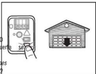 sera se es