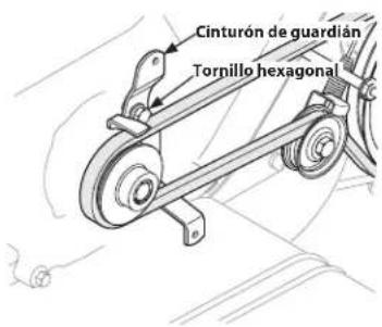 Cinturón de guardián Tornillo hexagonal